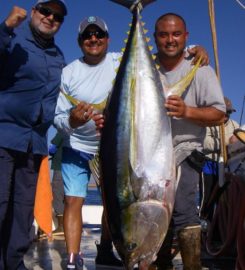 Royal Star Sportfishing