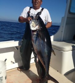 Fish On Sportfishing