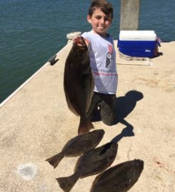 Stephen Crevelli Sportfishing Boat