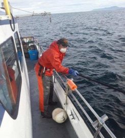 Captains Reel Deep Sea Fishing