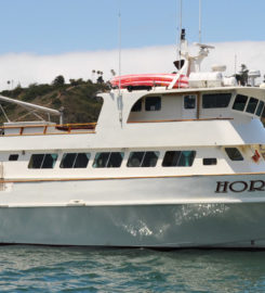 Horizon Charters