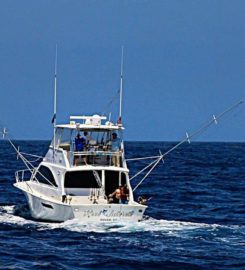 Charleston SportFishing Charters