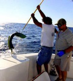 Charleston SportFishing Charters