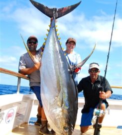 Constitution Sportfishing