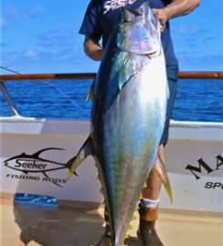 Constitution Sportfishing