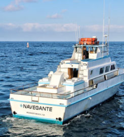 Navegante Sportfishing