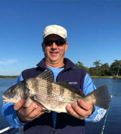 Low Country Fishing Charters