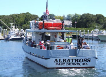 Albatross Fishing